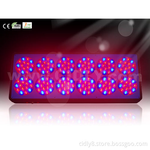 Apollo 12 grow light hydroponics